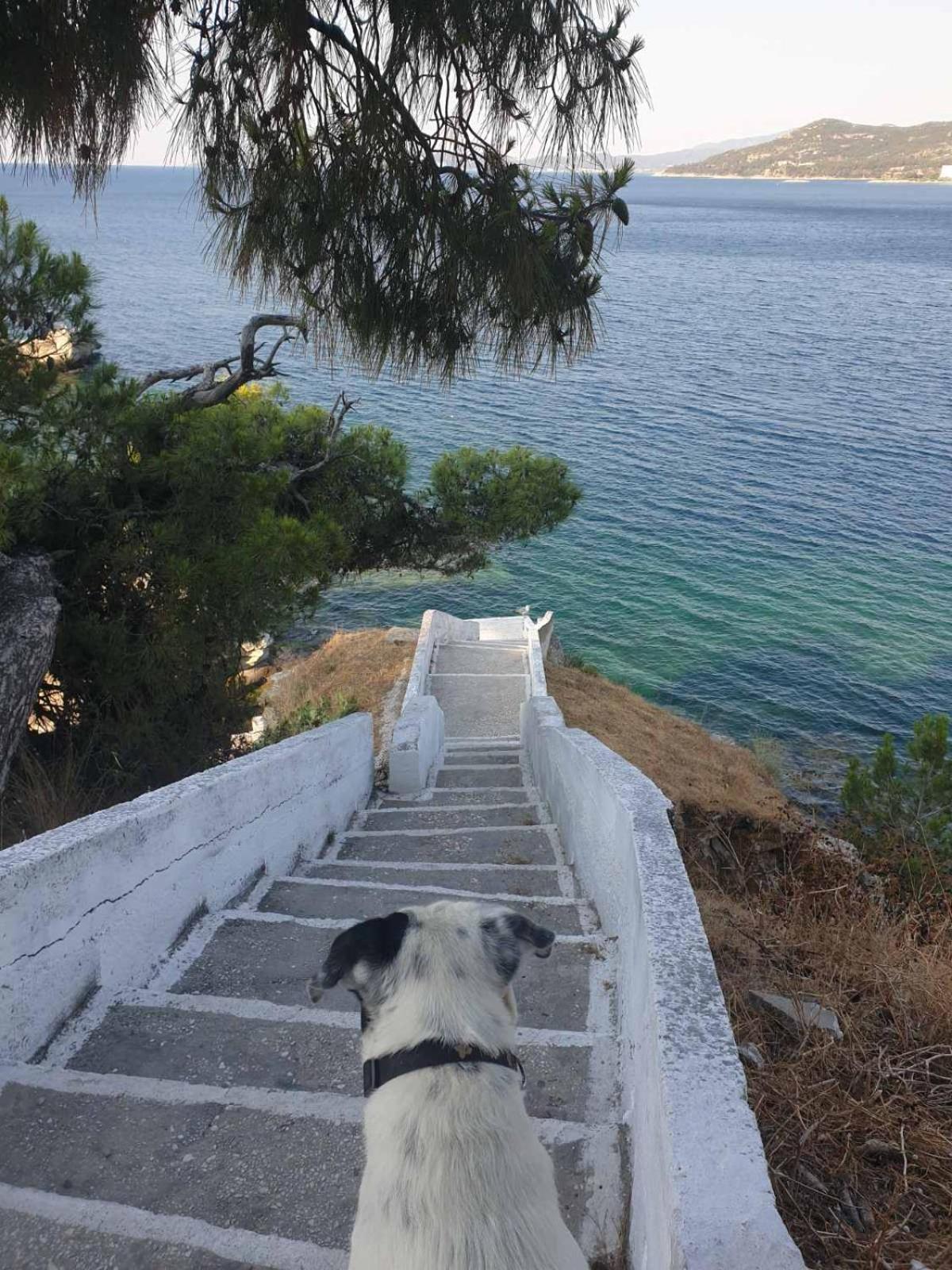 Circe Daire Kavala Dış mekan fotoğraf
